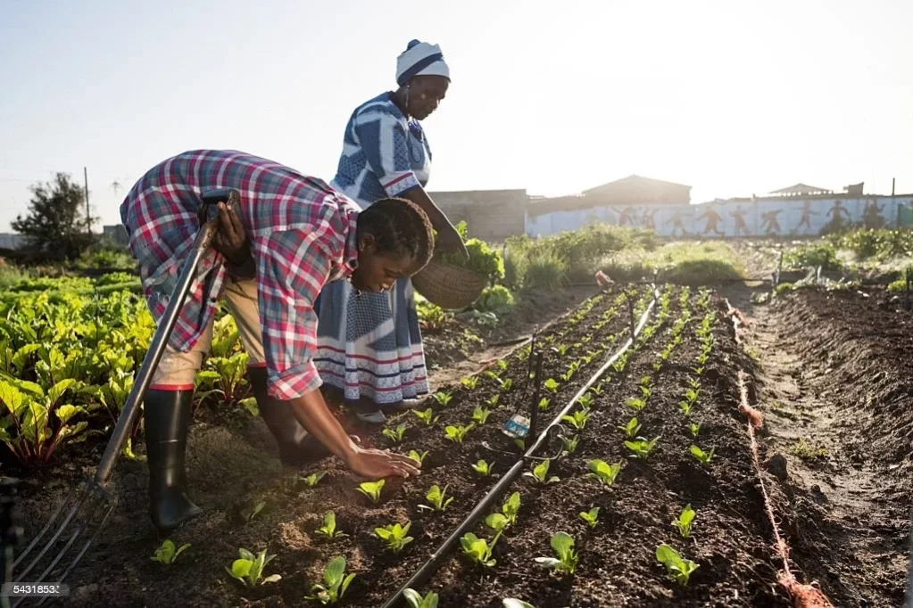 climate-smart-agric.jpeg